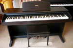 ydp_101_005_blog.jpg