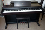 ydp_101_006_blog.jpg